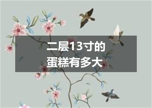 二层13寸的蛋糕有多大