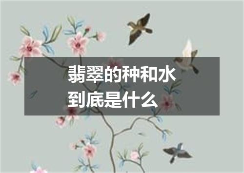 翡翠的种和水到底是什么