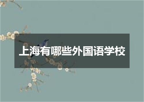 上海有哪些外国语学校