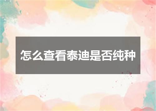 怎么查看泰迪是否纯种