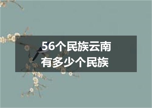 56个民族云南有多少个民族