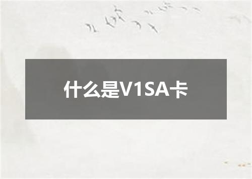 什么是V1SA卡