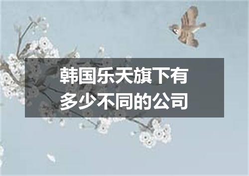 韩国乐天旗下有多少不同的公司
