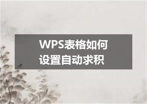 WPS表格如何设置自动求积
