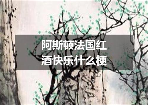 阿斯顿法国红酒快乐什么梗