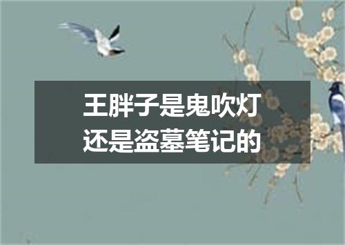 王胖子是鬼吹灯还是盗墓笔记的