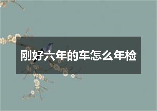 刚好六年的车怎么年检