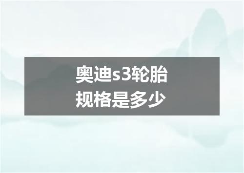 奥迪s3轮胎规格是多少