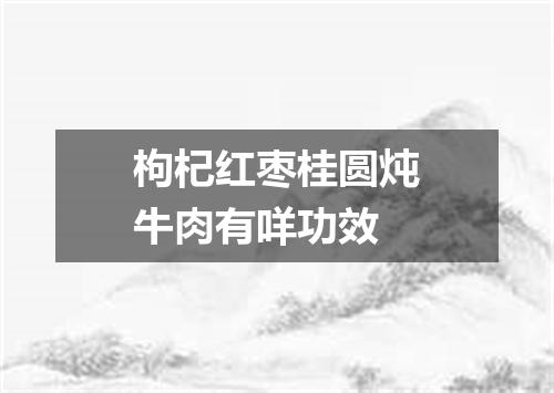 枸杞红枣桂圆炖牛肉有咩功效