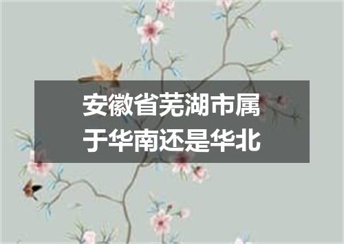安徽省芜湖市属于华南还是华北