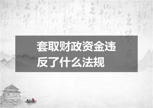 套取财政资金违反了什么法规