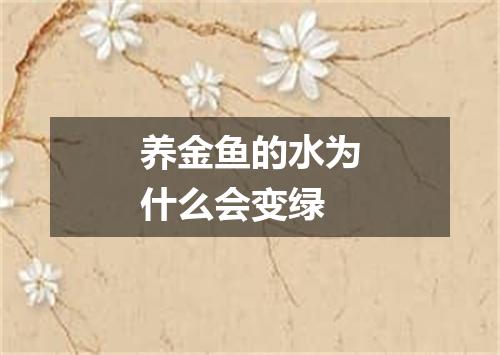 养金鱼的水为什么会变绿