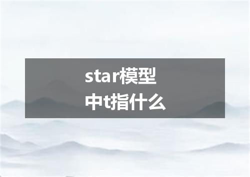 star模型中t指什么