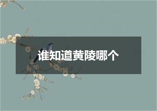 谁知道黄陵哪个