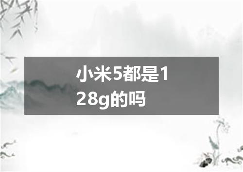 小米5都是128g的吗
