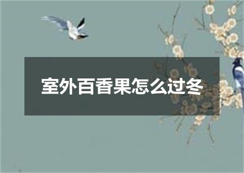 室外百香果怎么过冬