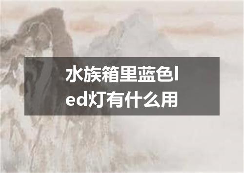 水族箱里蓝色led灯有什么用
