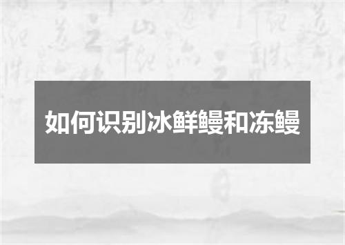 如何识别冰鲜鳗和冻鳗