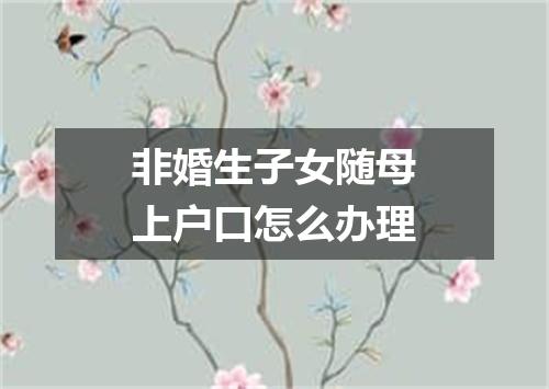 非婚生子女随母上户口怎么办理
