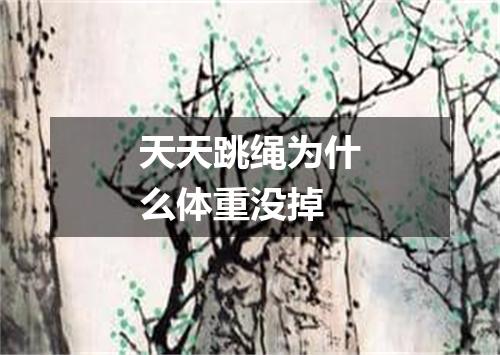 天天跳绳为什么体重没掉