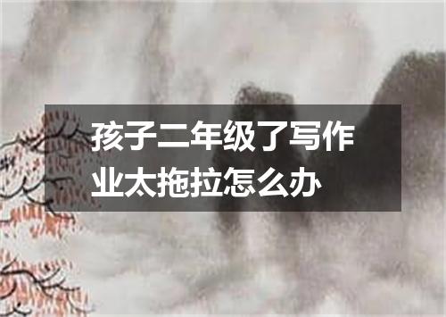孩子二年级了写作业太拖拉怎么办