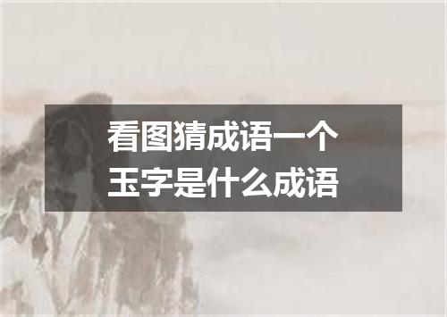 看图猜成语一个玉字是什么成语