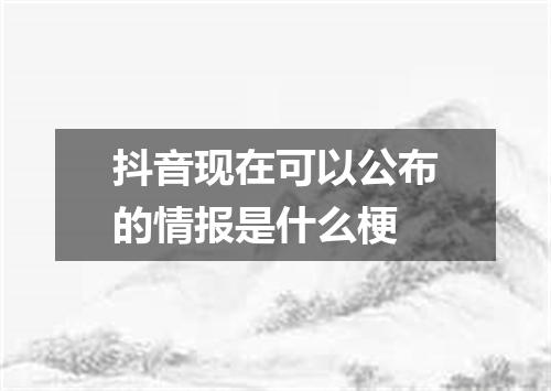 抖音现在可以公布的情报是什么梗