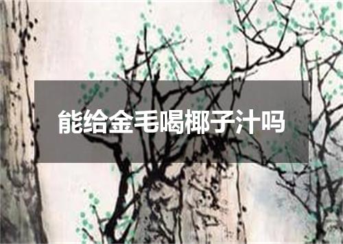 能给金毛喝椰子汁吗