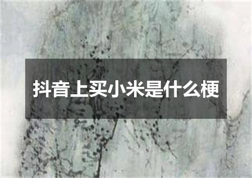 抖音上买小米是什么梗