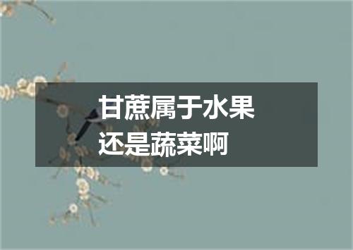 甘蔗属于水果还是蔬菜啊