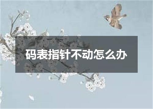 码表指针不动怎么办