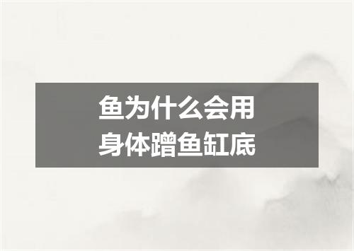 鱼为什么会用身体蹭鱼缸底