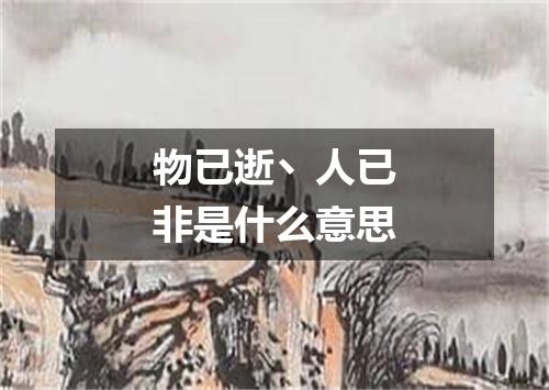 物已逝丶人已非是什么意思