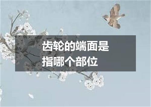 齿轮的端面是指哪个部位