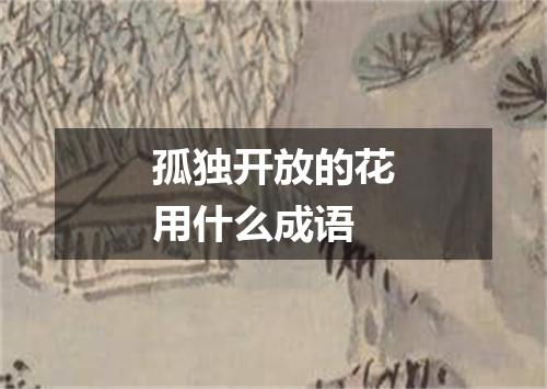 孤独开放的花用什么成语