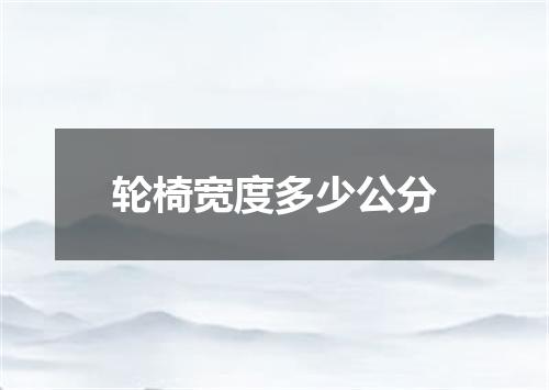 轮椅宽度多少公分