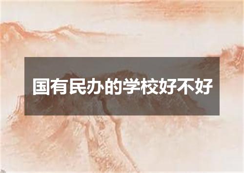 国有民办的学校好不好
