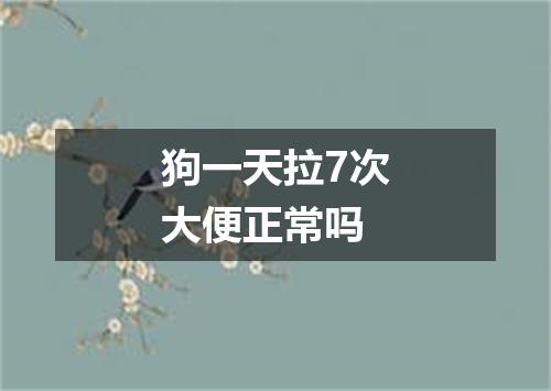 狗一天拉7次大便正常吗