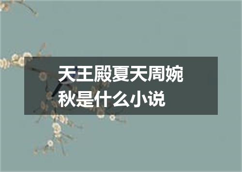 天王殿夏天周婉秋是什么小说