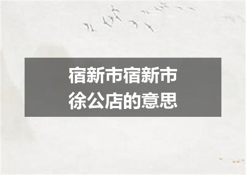 宿新市宿新市徐公店的意思