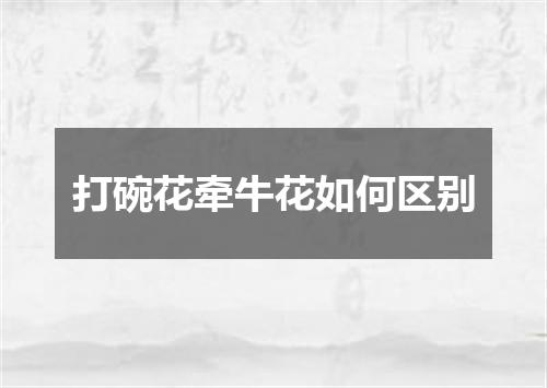打碗花牵牛花如何区别