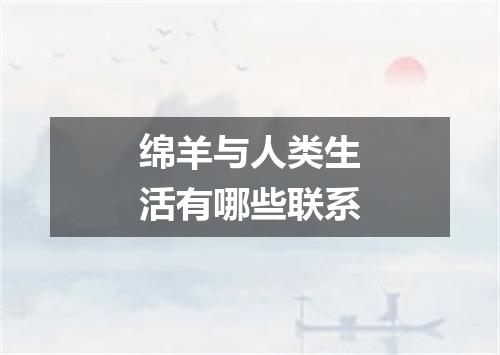 绵羊与人类生活有哪些联系