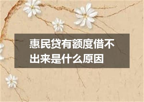 惠民贷有额度借不出来是什么原因