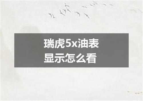 瑞虎5x油表显示怎么看
