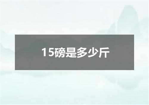 15磅是多少斤