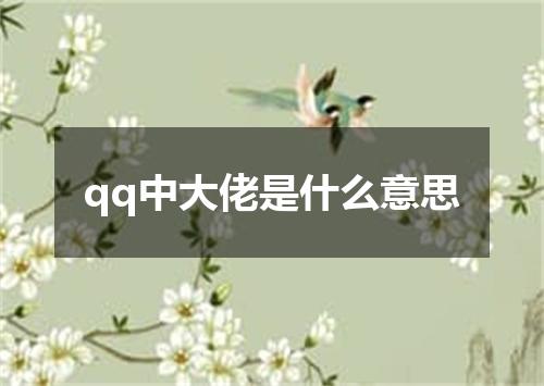 qq中大佬是什么意思