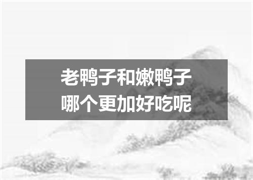 老鸭子和嫩鸭子哪个更加好吃呢