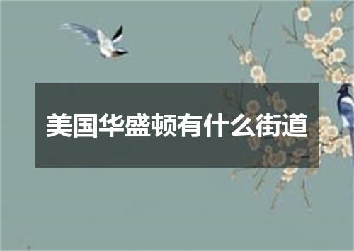 美国华盛顿有什么街道