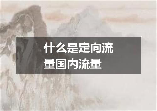 什么是定向流量国内流量