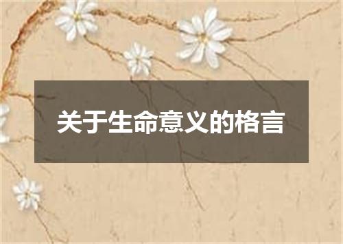 关于生命意义的格言
